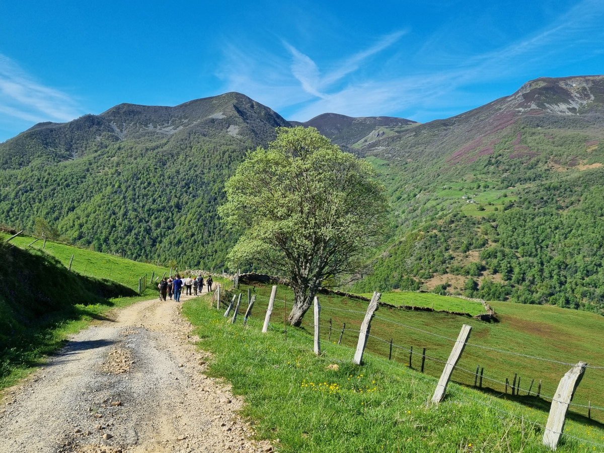 Parque Natural Fuentes del Narcea, Degaña e Ibias