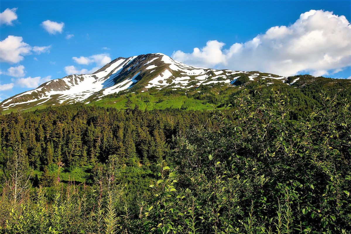 Chugach national forest 1622633 1920