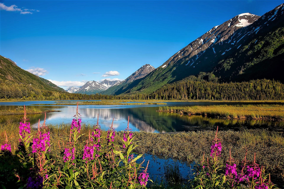 Chugach national forest 1622635 1920