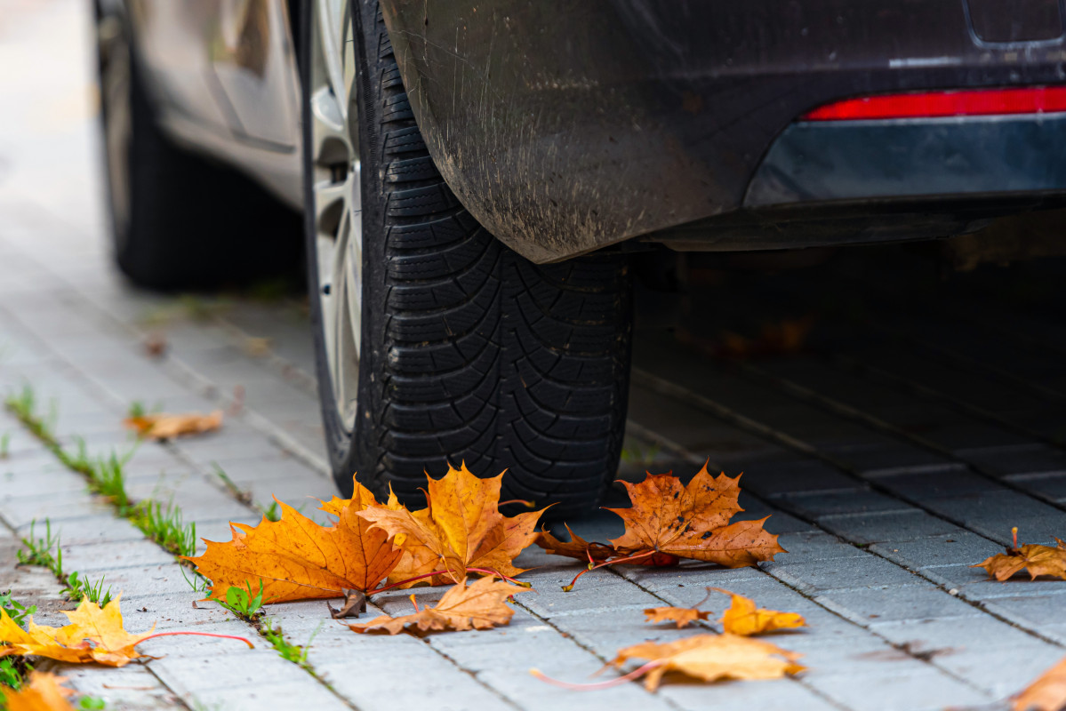 Colorful autumn leaves on pavement with car wheel 2022 08 01 04 29 03 utc