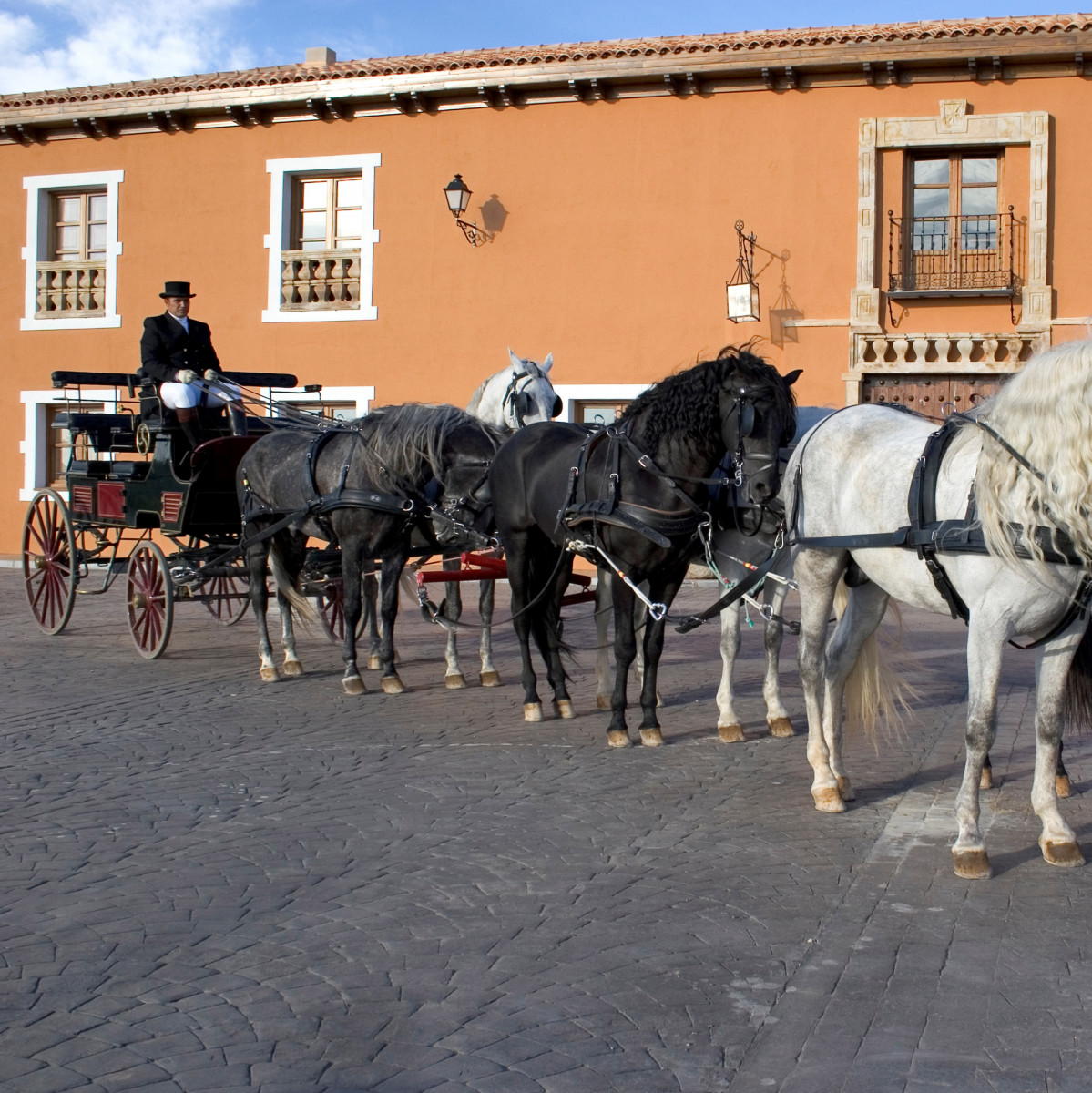 Escapada con paseo en coche de caballos y visita a la Bodega Los Aljibes y (Albacete) 1
