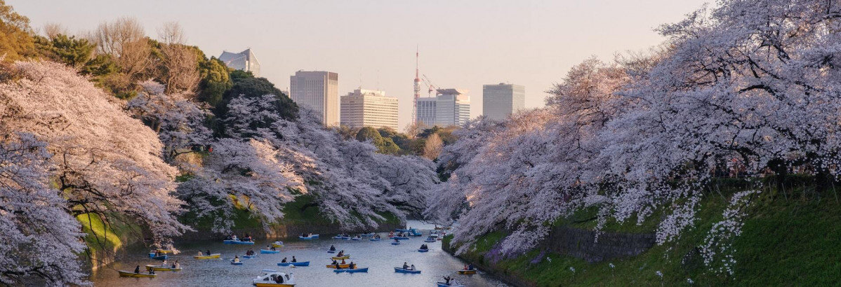 Imagen Tokyo © by Holidu