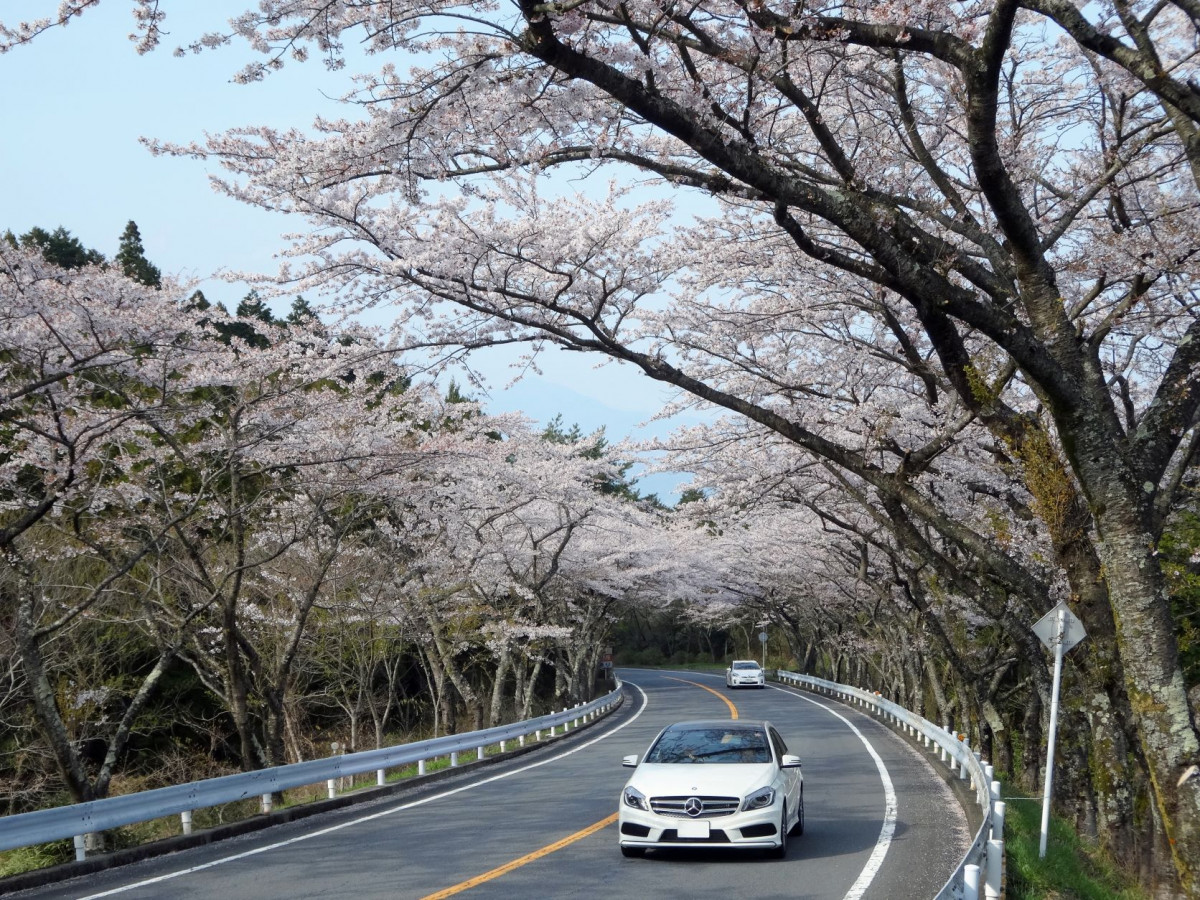 Hakone Turnpike 2 ©PekePON, CC BY SA 4.0