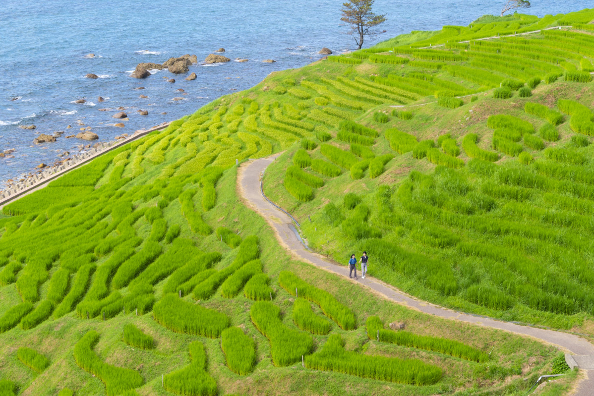Wajima Senmaida Rice Terrace in Noto © Ishikawa Prefecture Tourism League