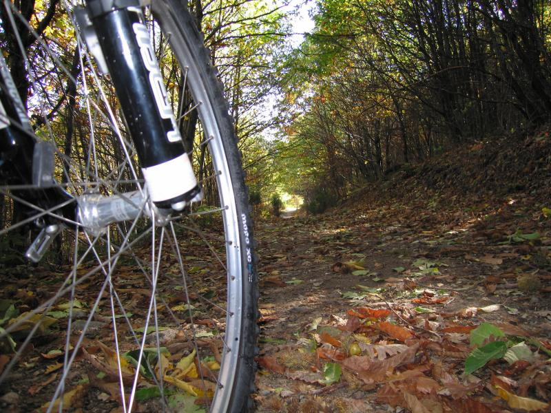 Ciclismo en la Sierra de Francia (9)