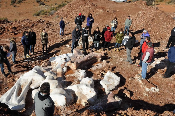 Hallazago del dinosaurio Campo Chubut