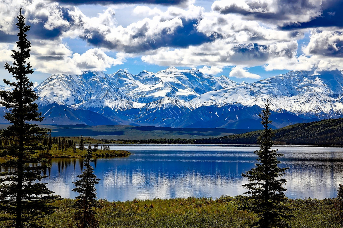 Denali national park 1733313 1920