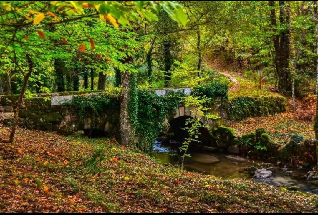 La Senda de los Mil Colores en Otoño e Invierno (9)