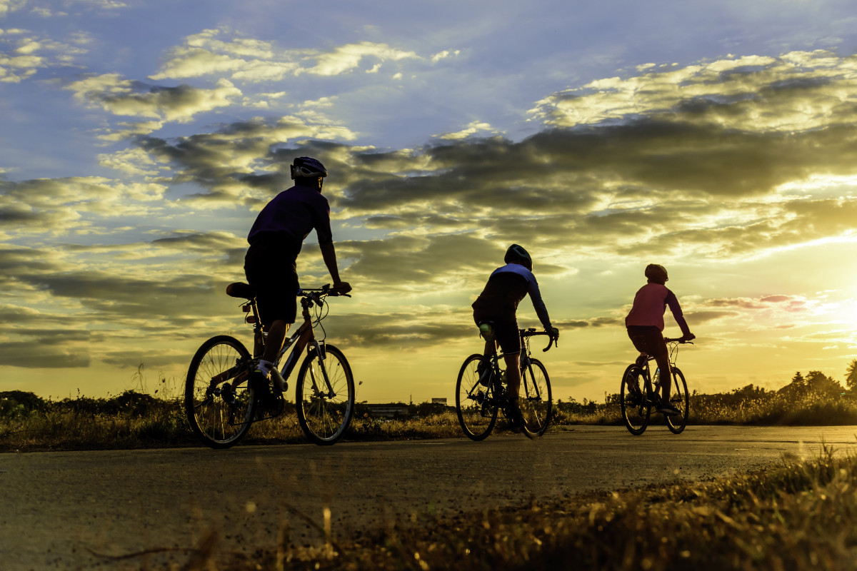 Bicicleta 11