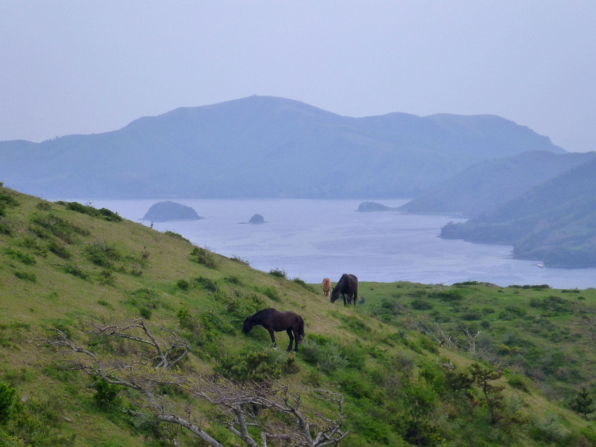 Oki Islands ©Kzaral