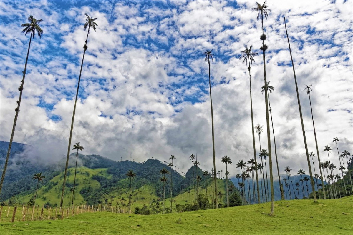 Colombia g0305b3f37 1280