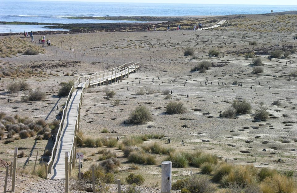 Área Natural Protegida Cabo Dos Bahías