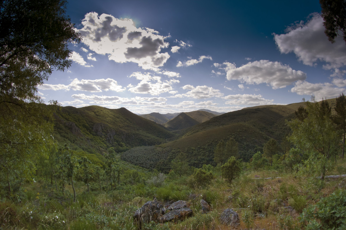 Valle Alagón