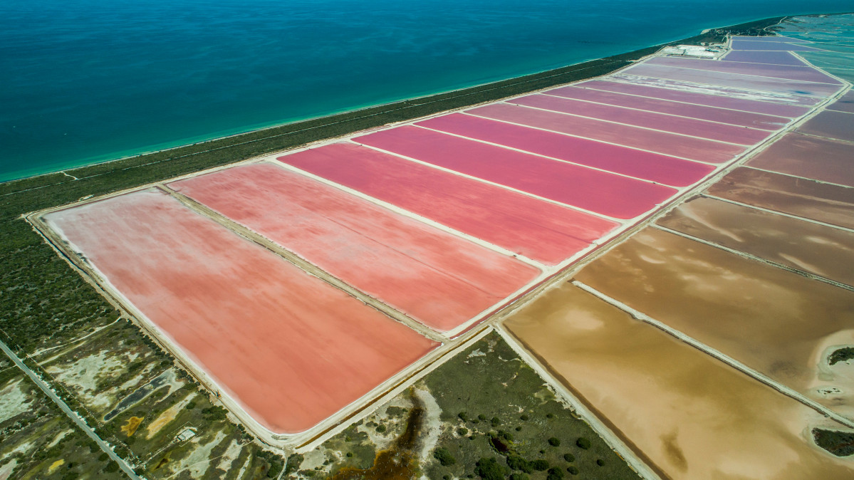 LAGON ROSE YUCATAN