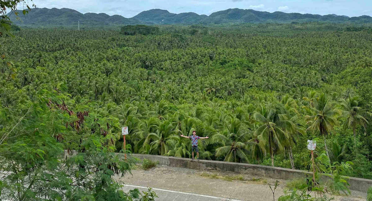 Siargao 1   BAJA