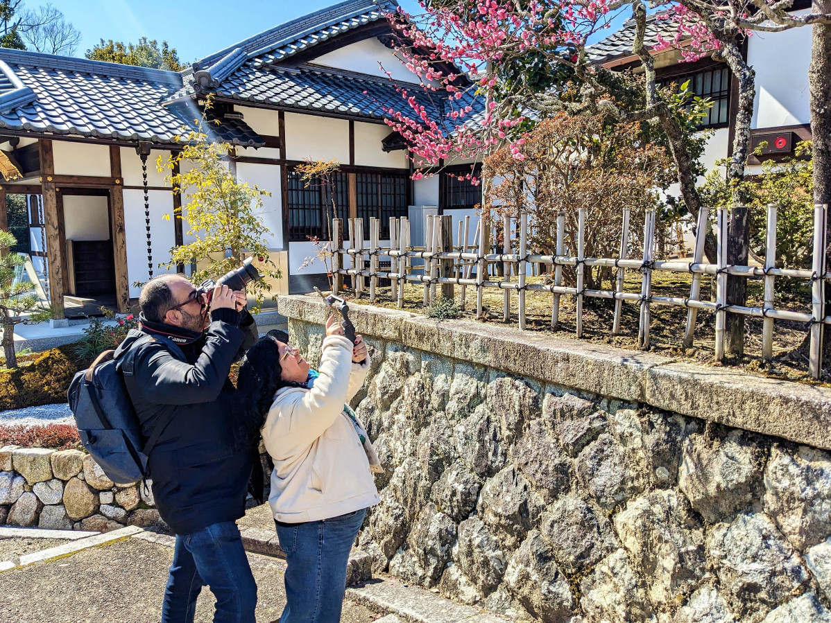 Videos y fotos templo ninnaji kioto