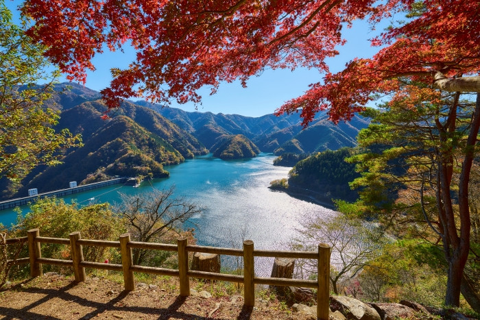 Scenic autumn views at Lake Okutama 06