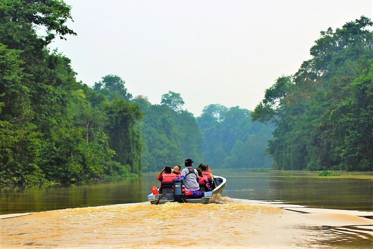 Río borneo