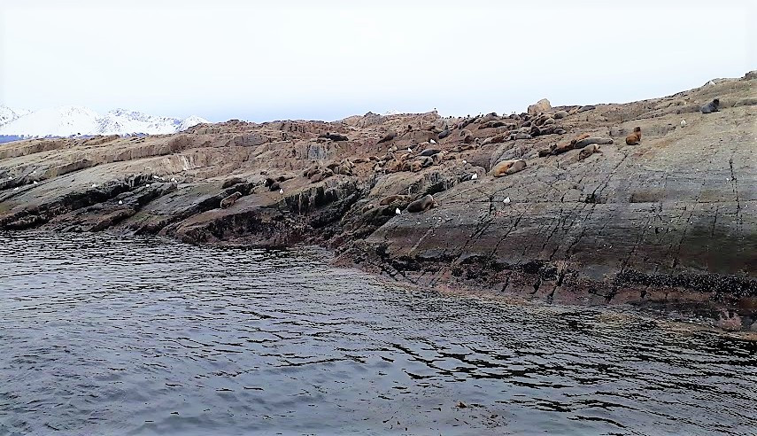 Isla de Lobos