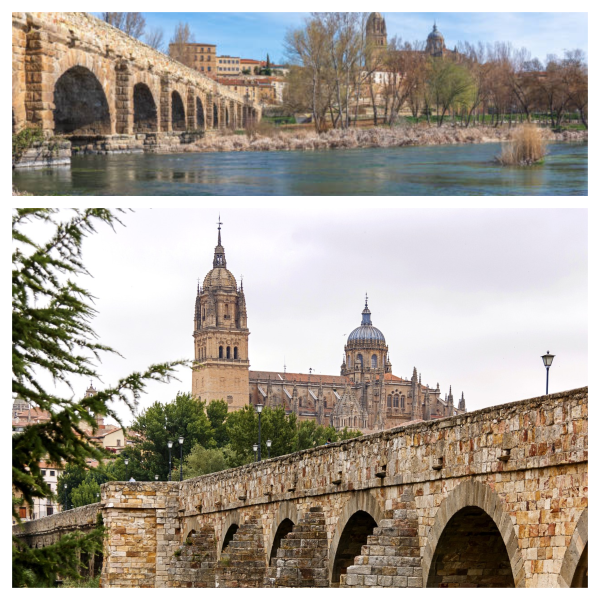 Salamanca 1