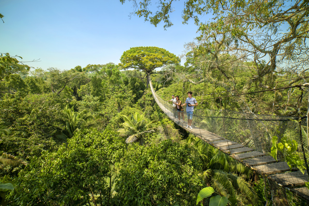 Canopy o zipline.Paradise Ecolodge. Puerto Maldonado © Luis Francisco Gonzales PROMPERÚ