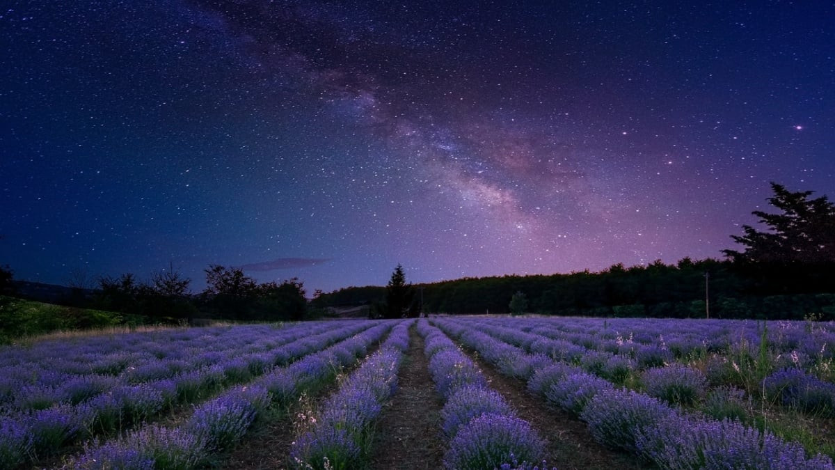 11. ESTRELLA FUGAZ PERSEIDA milky way 4526277 1280