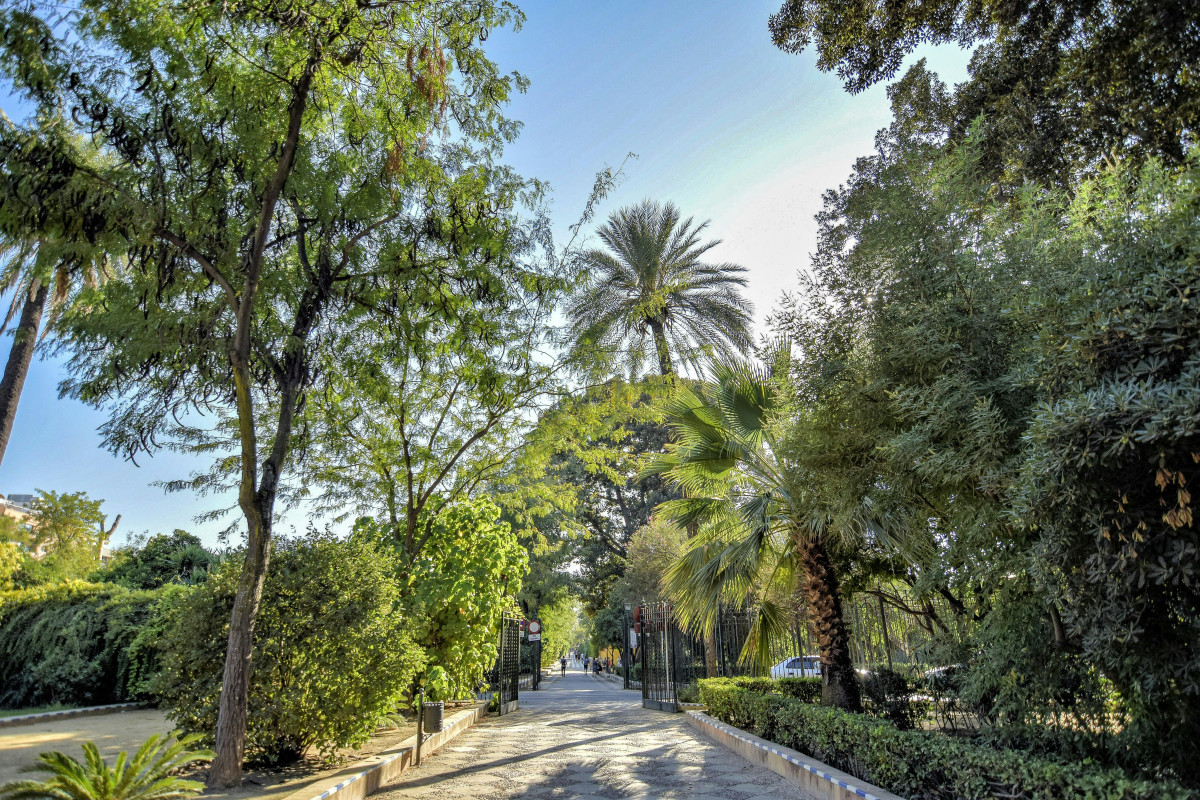 Parque Maru00eda Luisa   Autor emilio sanchez hernandez