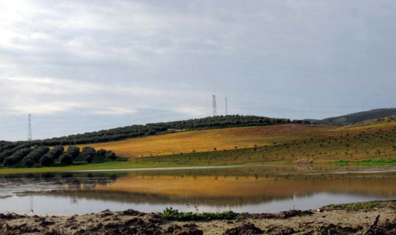 Laguna de la Roa   Baena