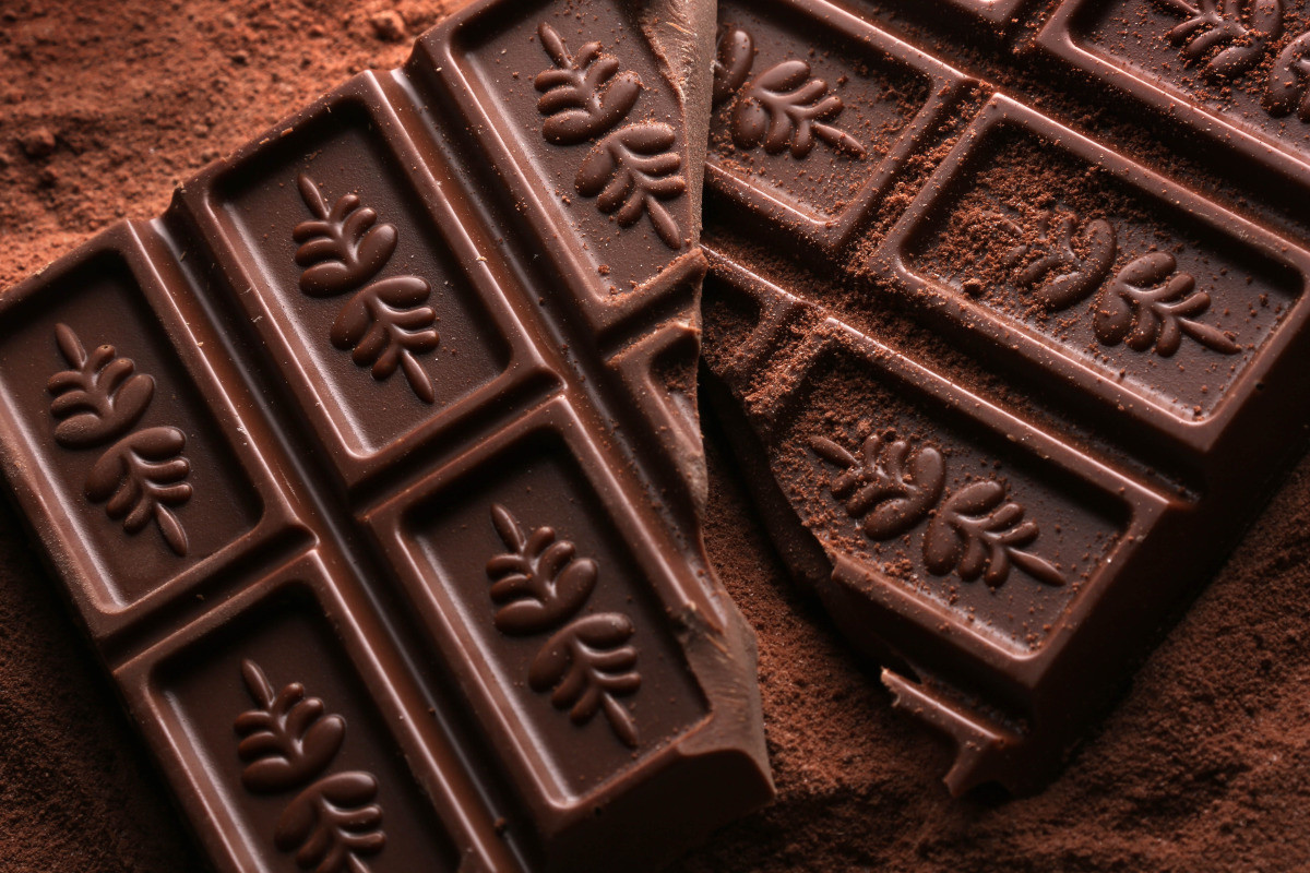 00008238 CGT   Arnaud Siquet Chocolat