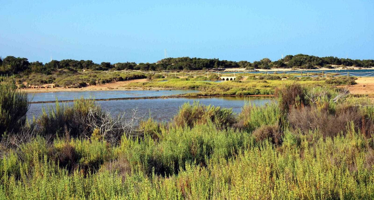 Can Marroig