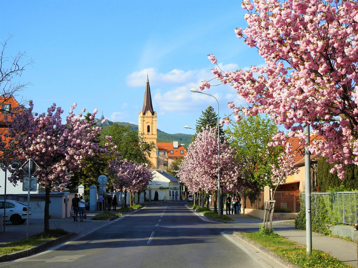 Nitra 2