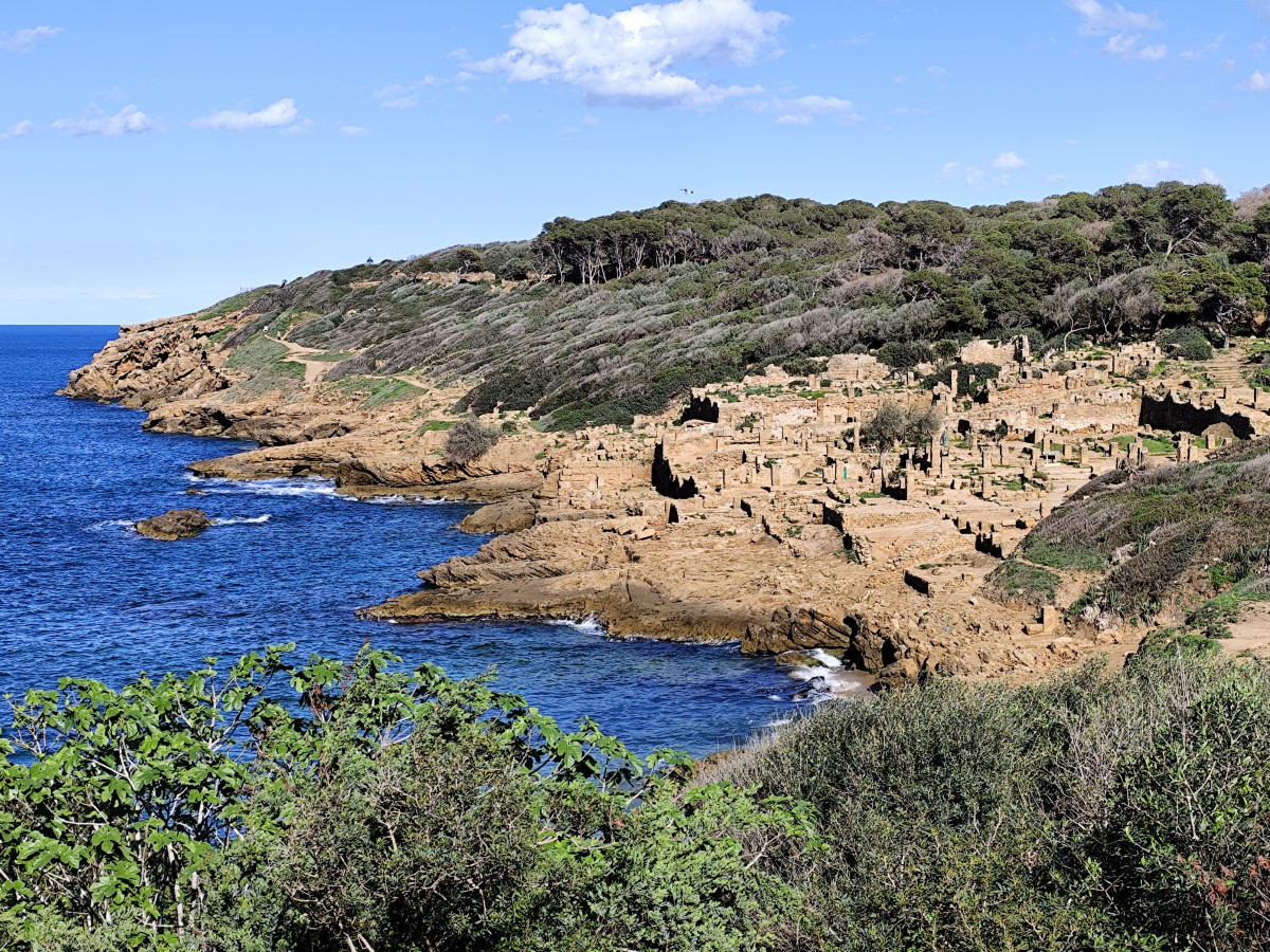 Vista de la zona de las villas Tipasa
