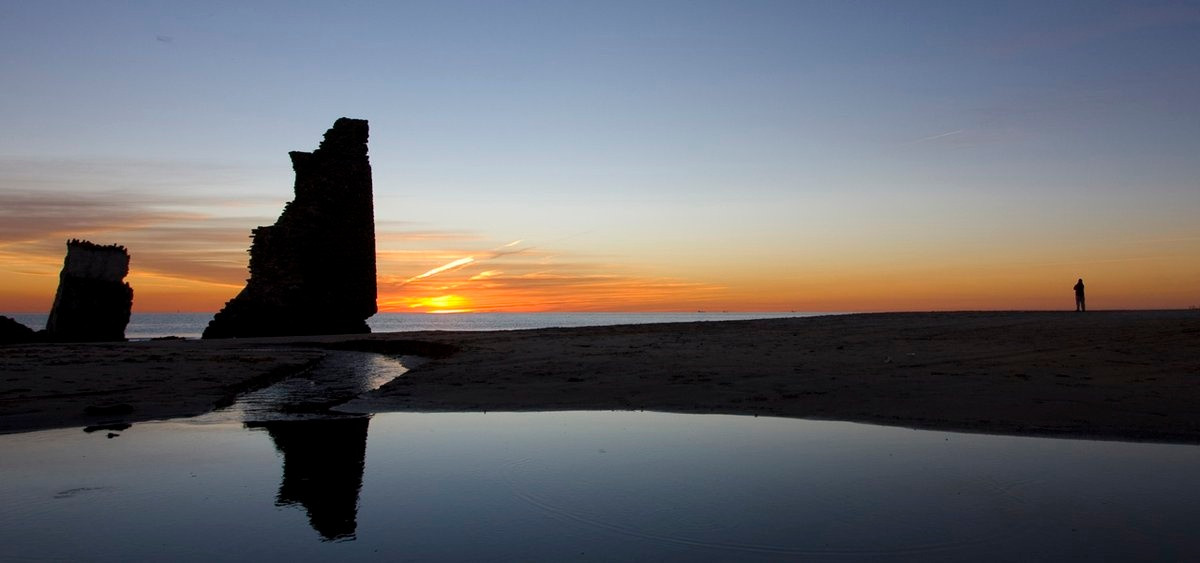 Torre del loro