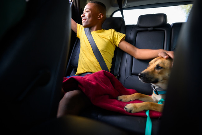 Viajar con mascotas MARS Petcare