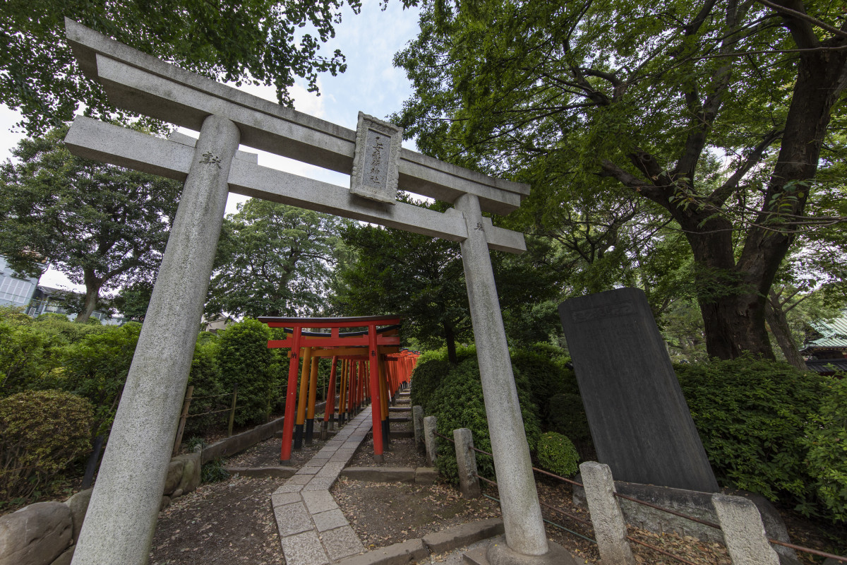 Nezu jinja Shrine 02
