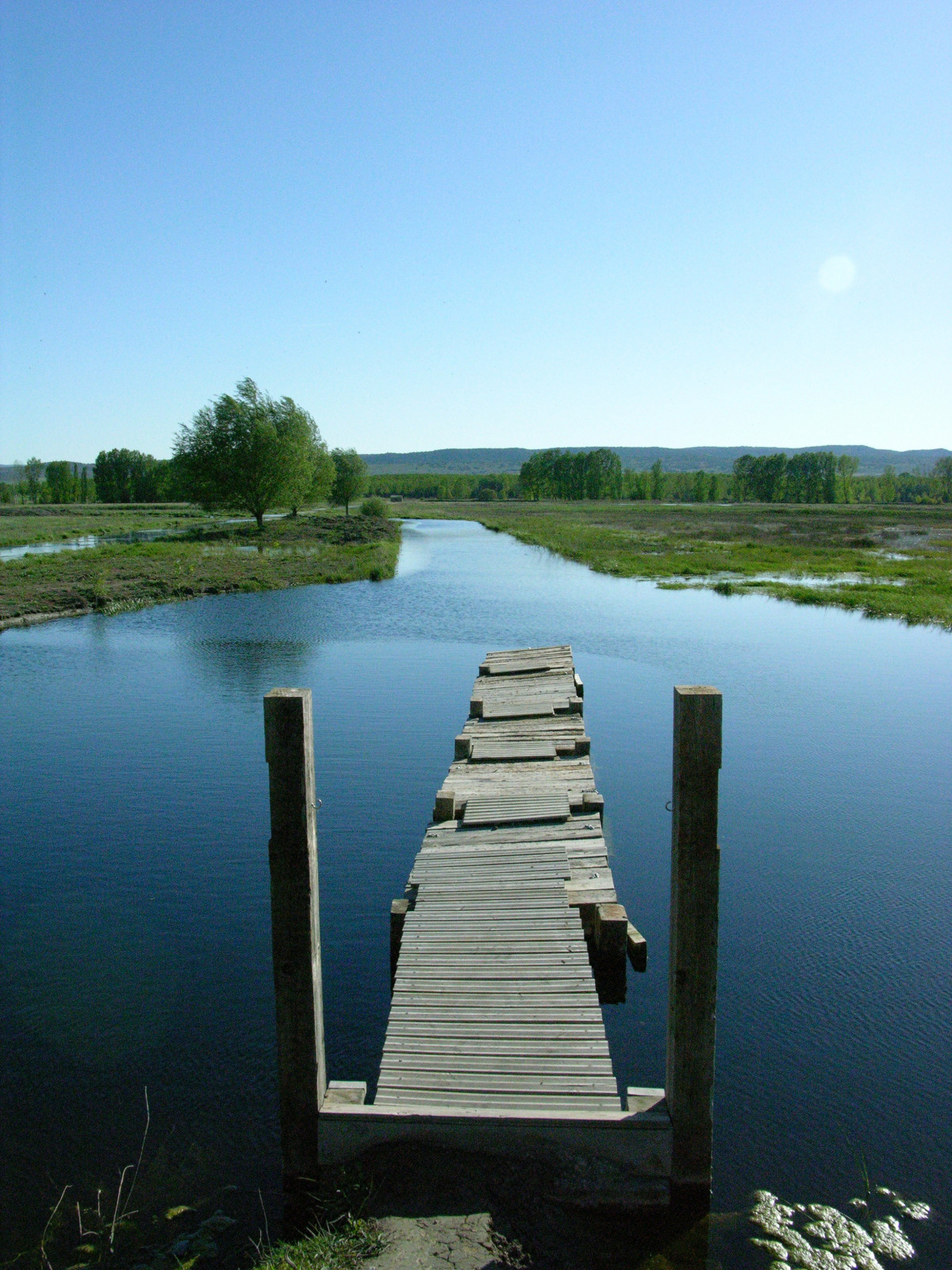 LAGUNACANIZAR