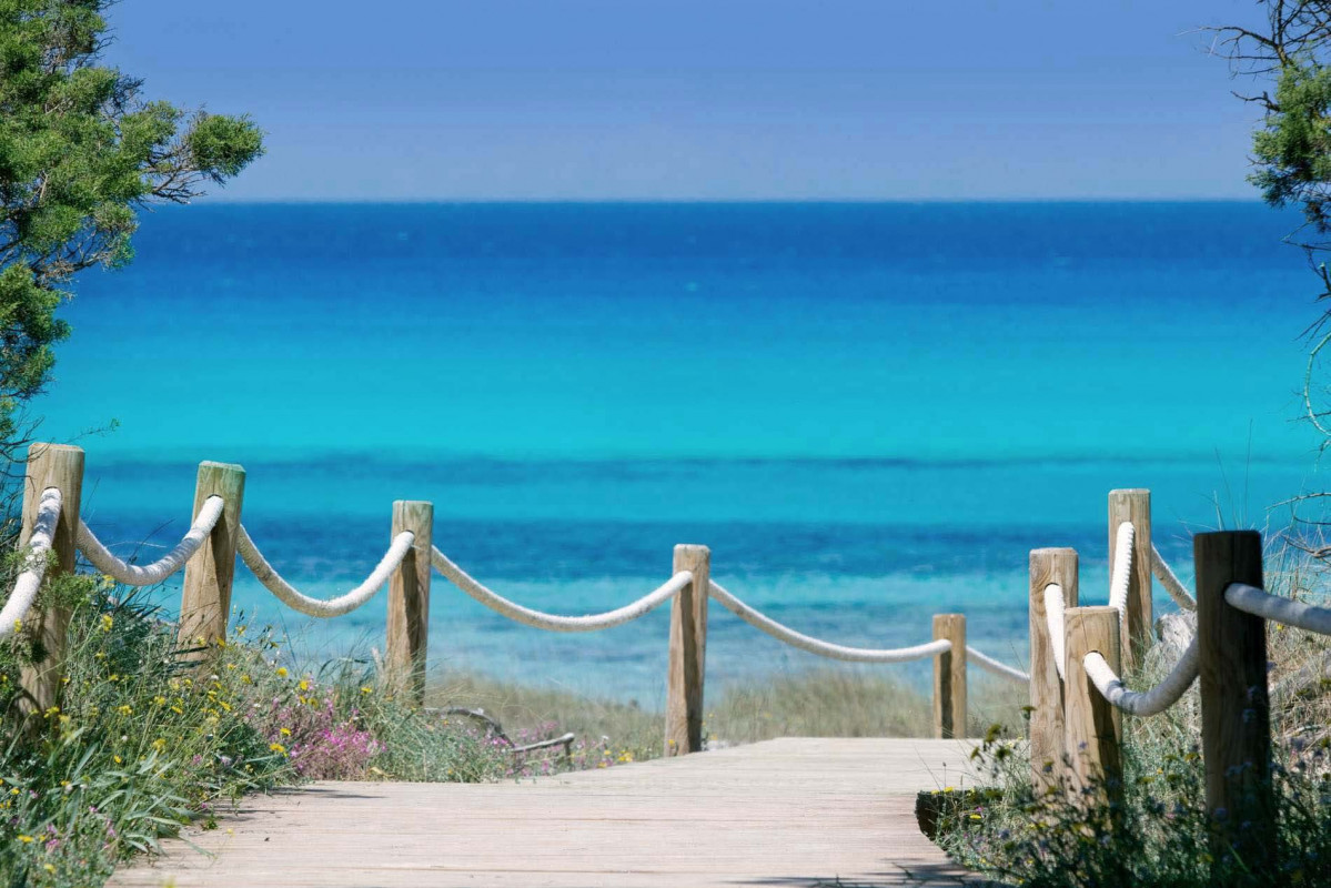 Cavall d'en Borru00e0s