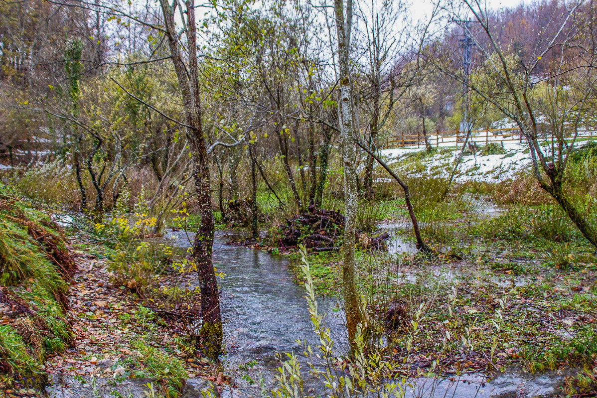 NACIMIENTO RIO DEVA 4 Camaleño