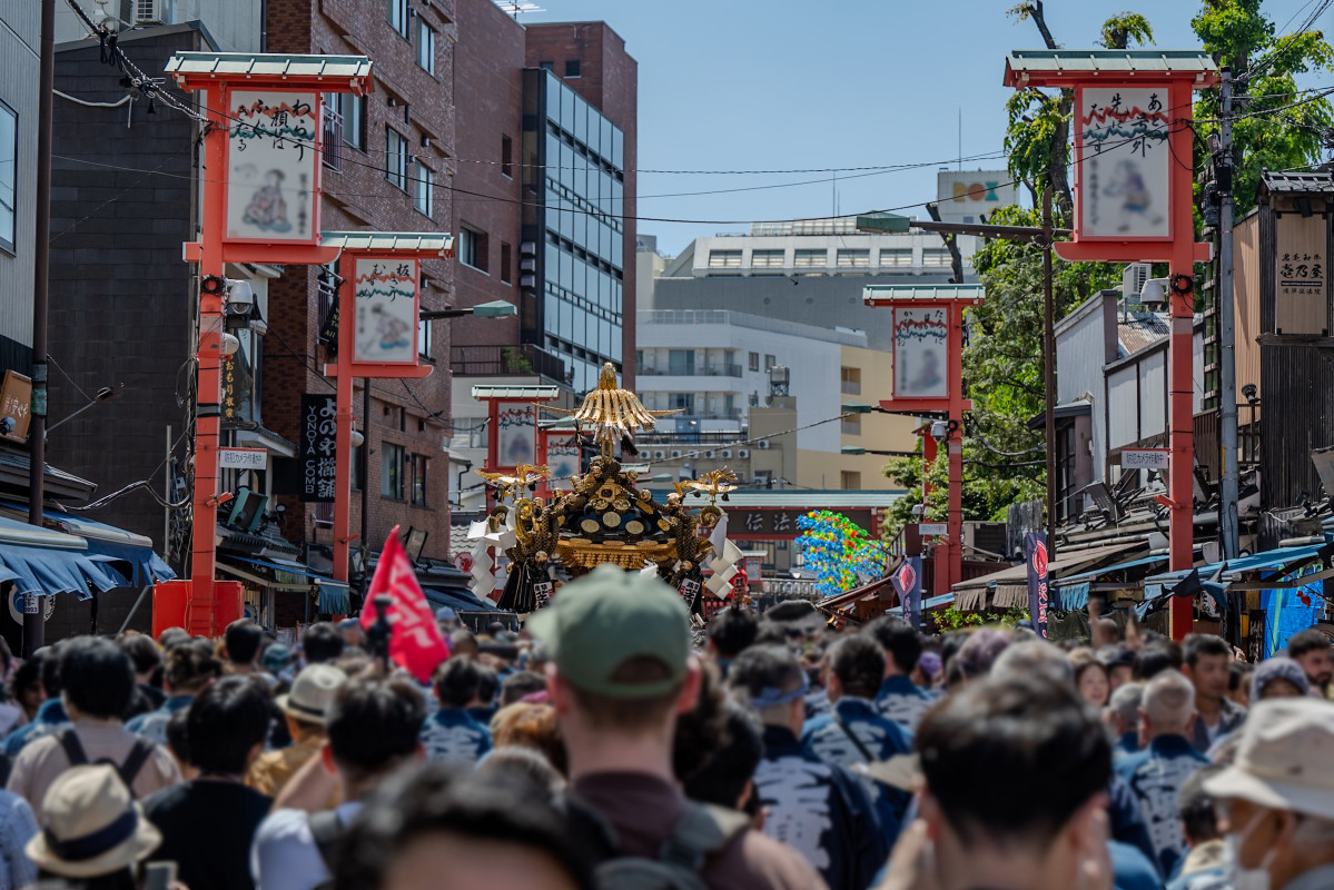 Festival Sanja