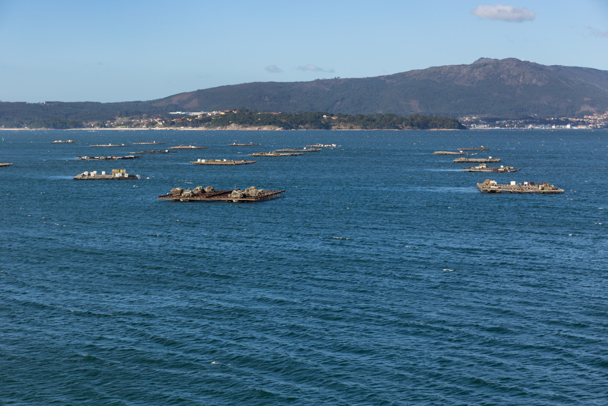Rías Baixas