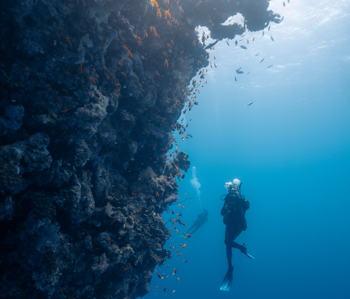 u00a9Rachel Moore, PADI Ambassadiver (8)2