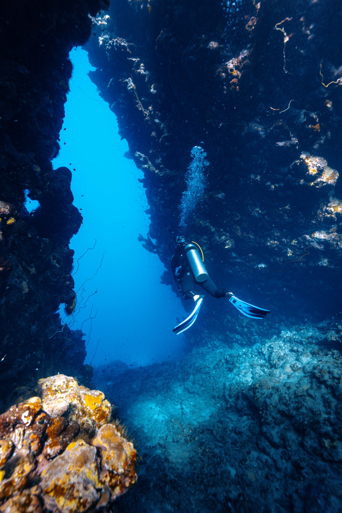 u00a9Rachel Moore, PADI Ambassadiver (3)