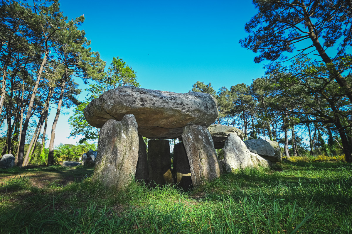 Carnac Manu00e9 Kerioned 20 u00a9Arnaud hellegouarch  Paysages de Mu00e9galithes