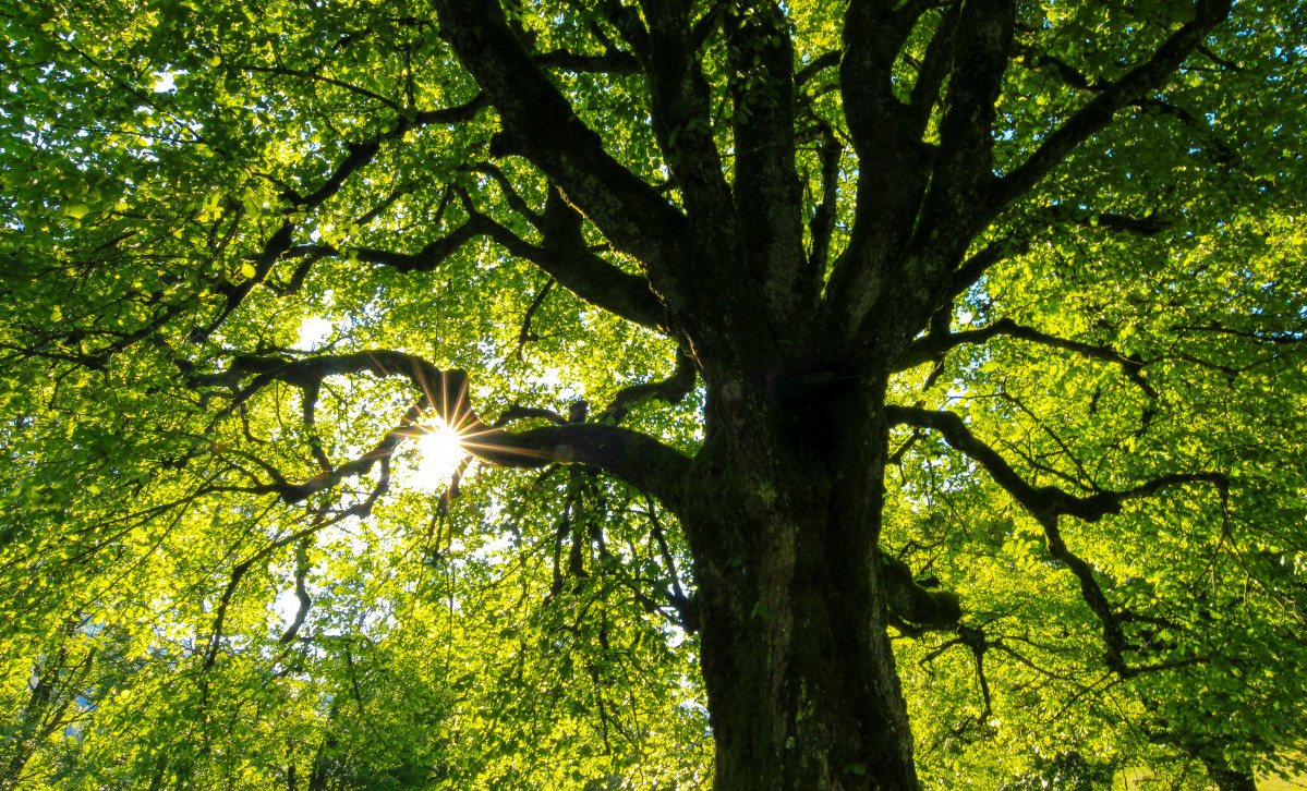 Jan huber 4OhFZSAT3sw unsplash