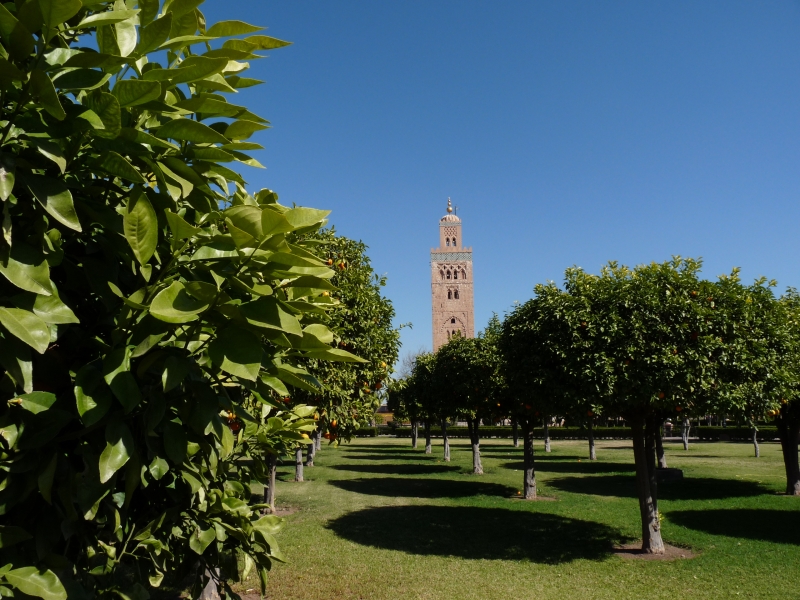 Jardines de la Koutubia con la mezquita de fondo. / Foto: Guillermo Peris