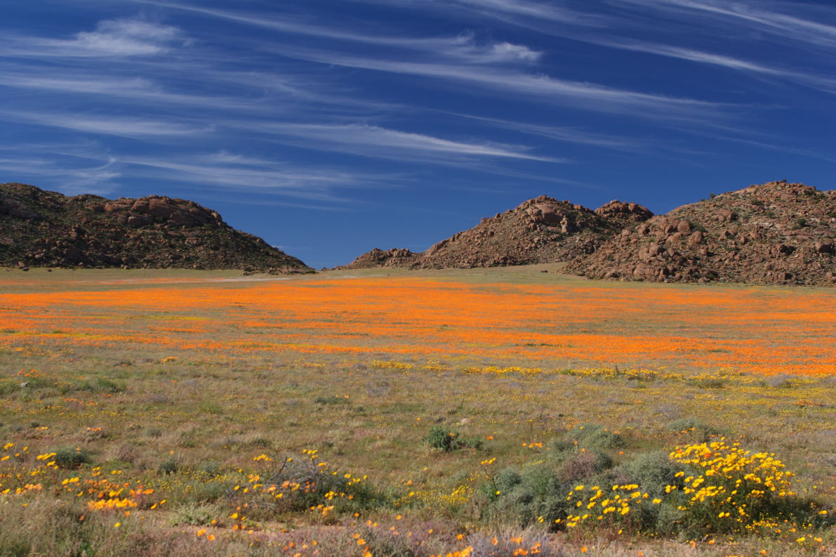 Namaqualand